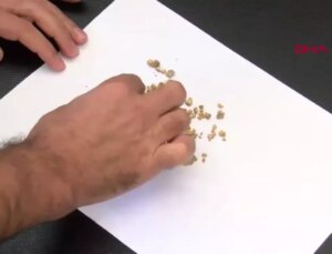 Böbrek Taşlarıyla ’29’ Yazarak Cumhuriyet Bayramı’nı Kutladı