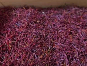 Hasadı ilk kez yapıldı: Kilosu 600 bin TL’den alıcı buluyor
