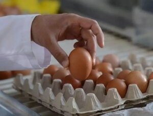 Kısa süre içinde yumurtaya gelen zam enflasyon oranını da solladı