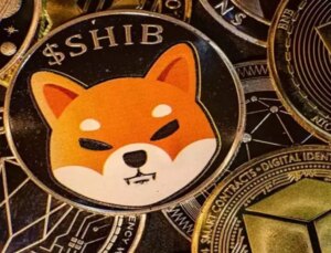 Memecoin piyasasında rekor kazanç: 10 bin dolarlık yatırım milyarlarca dolara ulaştı