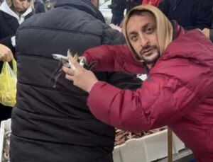 Bisküviden ucuz istavrit vatandaşları tezgahlara sürükledi