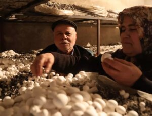 Emekli olunca hobisi ekmek teknesi oldu: Ayda 40 bin lira kazanmaya başladı