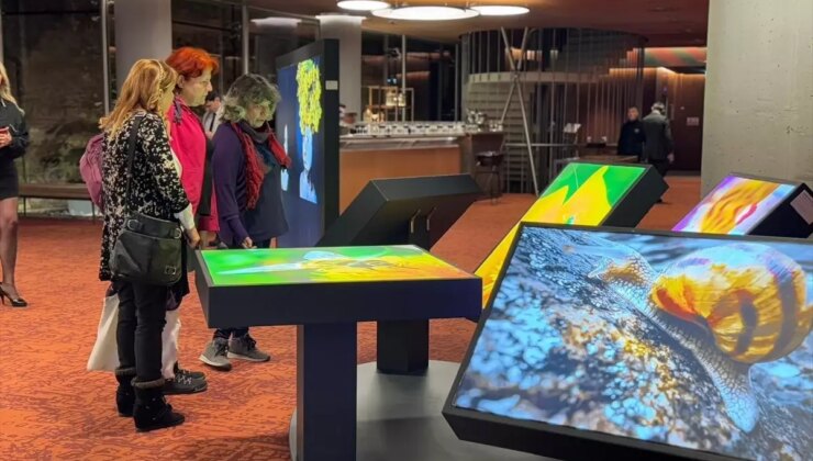 Huawei, İstanbul’da XMAGE Global Fotoğrafçılık Sergisi’ni Açtı