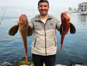 Bursalı Amatör Balıkçı Gölcük’te 6 Buçuk Kilo Kırlangıç Balığı Yakaladı