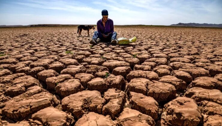 2024, Tarihin En Sıcak Yılı Olmaya Yaklaşıyor: Küresel Isınma Hedefleri Tehlikede