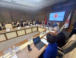 Bebek ölümleri komisyonu üçüncü kez toplandı