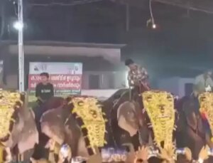 Hindistan’daki festivalde fil saldırısı: 17 yaralı