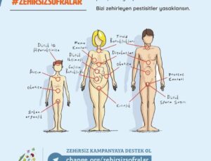 Pestisitlerde Güvenli Doz Algısı Yanıltıcı mı?