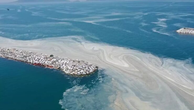 Marmara Denizi’nde musilaj alarmı! Uzmanlardan dikkat çeken uyarılar