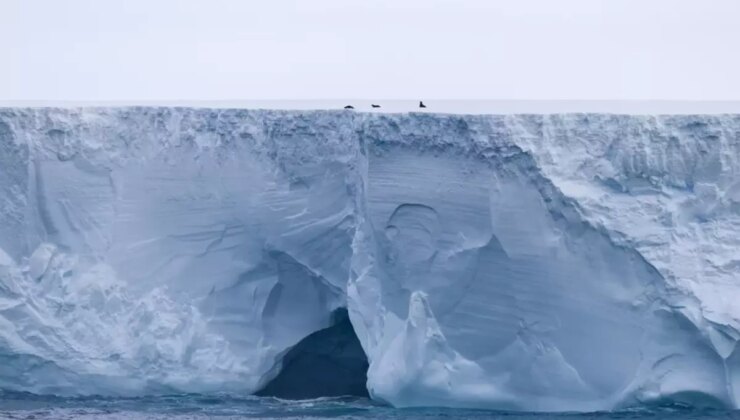 Dünyanın en büyük buzdağının Güney Atlantik’teki bir adaya çarpmasından endişe ediliyor