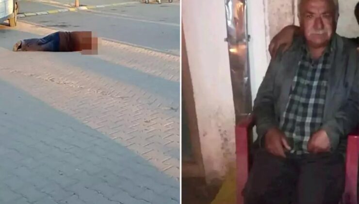 Ağabeyini odunla döve döve öldürdü