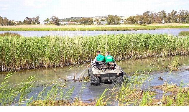 Aliağa Belediyesi’nden Haşerelere Karşı Ağır Uğraş
