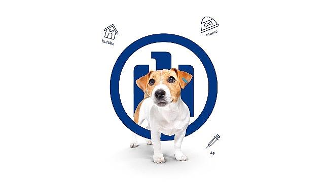 Allianz Türkiye HAYTAP’a takviyesini büyütüyor