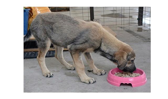 Atıklar mamaya, israf uygunluğa dönüşüyor