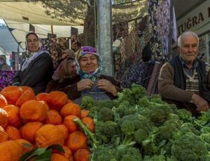 Bahar ayında çilek ve domates tepede