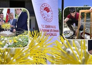 Beydağ’da Kozalar İpek Açtı
