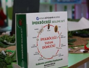 Büyükşehir çocukları ipekböceği ile tanıştırıyor