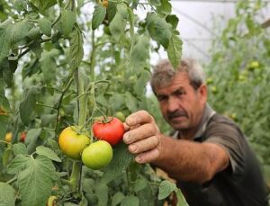 Büyükşehir’den yüzde 50 hibeli sera dayanağı