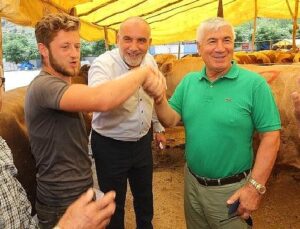 Canik’te Kurbanlıklar Görücüye Çıktı