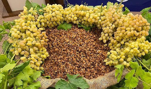 Çekirdeksiz kuru üzüm, kuru kayısı ve kuru incir ihracatında 1 milyar dolar aşıldı