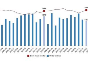 Dış Ticaret Endeksleri, Mart 2025
