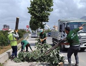 Fırtınanın Ziyan Verdiği Ağaçlar Kaldırıldı