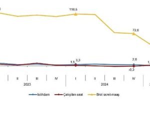 İşgücü Girdi Endeksleri, I. Çeyrek: Ocak-Mart, 2025
