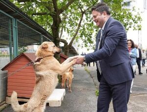 Kadıköy Belediyesi Geçici Hayvan Bakımevi Yenilendi