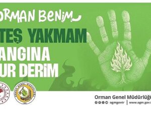 OGM’den kritik ikaz: Sıcaklık Artışı Orman Yangınlarını Tetikleyebilir