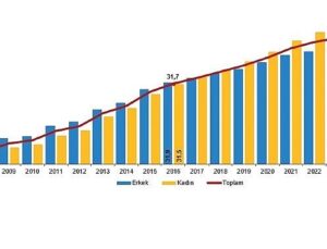 Ulusal Eğitim İstatistikleri, 2024