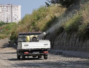 Bakırköy Belediyesi ve İBB işbirliğiyle vektörle uğraş
