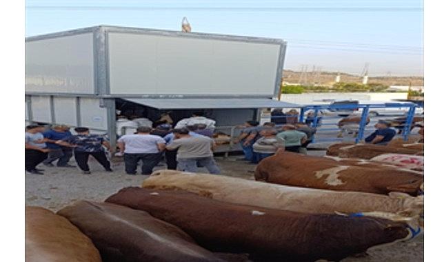 Büyükşehir’den bayramda inançlı ve hijyenik kesim hizmeti