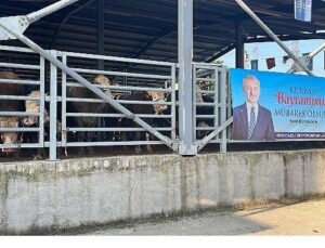 Büyükşehir’in çağdaş mezbahasında kurbanlar kesiliyor