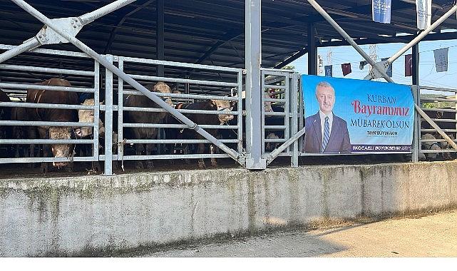 Büyükşehir’in çağdaş mezbahasında kurbanlar kesiliyor