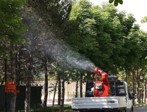 Çankaya Belediyesi’nden Yaz Aylarına Özel İlaçlama