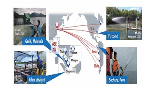 Çinli bilim insanı Dr. Yuan’dan İzmir Körfezi için kıymetli bildiriler: “Körfez modifiye kil formülüyle nefes alacak”