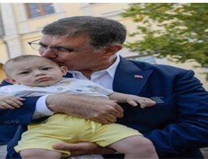 Devrilen çınar ağacı yerine yenisi dikildi