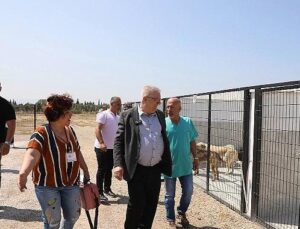 Edremit Belediyesi can dostlara sahip çıkıyor