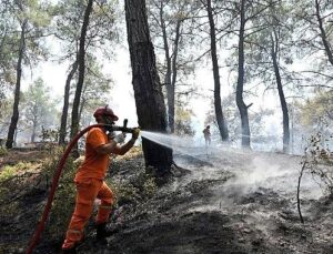 Hasat Mevsiminde Orman Yangını Alarmı