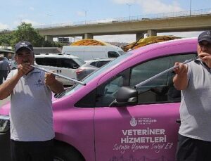 İBB boğa timi misyon başında