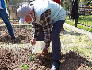 İstanbullu Halk Bostanlarını Çok Sevdi