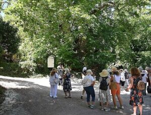 Kemer’de “Mor turizm” başladı