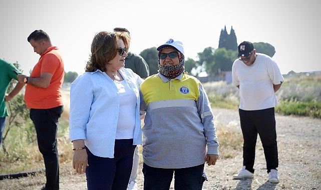 Lider Gençay, kekik hasadına katıldı