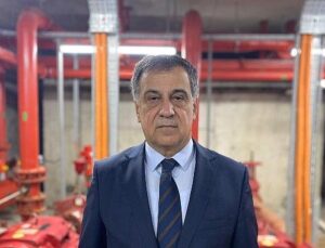 Mangal, her yıl yüzlerce hektar ormanı kül ediyor!