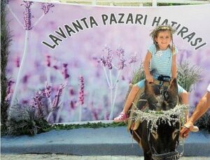 Mis Üzere Şenlik: Seferihisar’da Lavanta Büyüsü Başlıyor