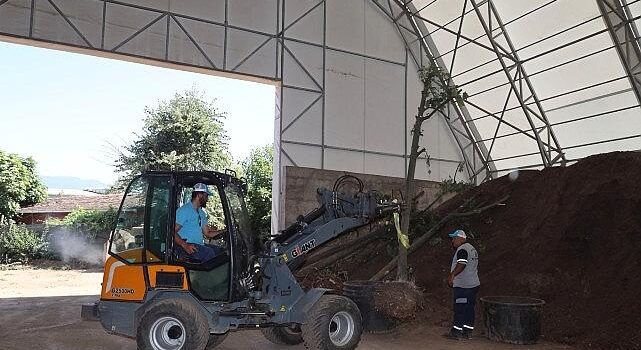 Sökülen ağaçlar geleceğe taşınıyor