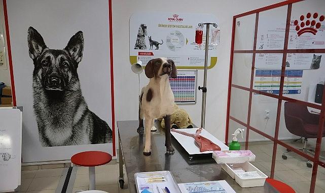 Uludağ Üniversitesi Klinik Maharet Laboratuvarı Açıldı