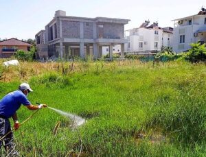 Vektörel uğraş hem karadan hem denizden yürütülüyor