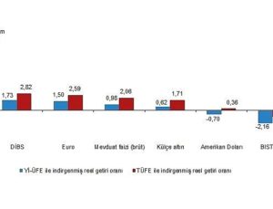Aylık en yüksek gerçek getiri Devlet İç Borçlanma Senetleri (DİBS)’te oldu