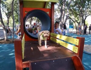 Bakırköy’ün İkinci Pati Parkı Açıldı